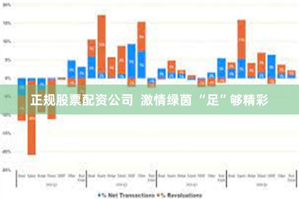 正规股票配资公司  激情绿茵 “足”够精彩