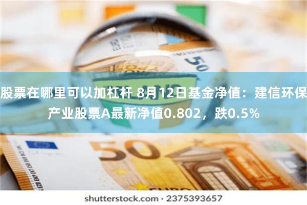 股票在哪里可以加杠杆 8月12日基金净值：建信环保产业股票A最新净值0.802，跌0.5%