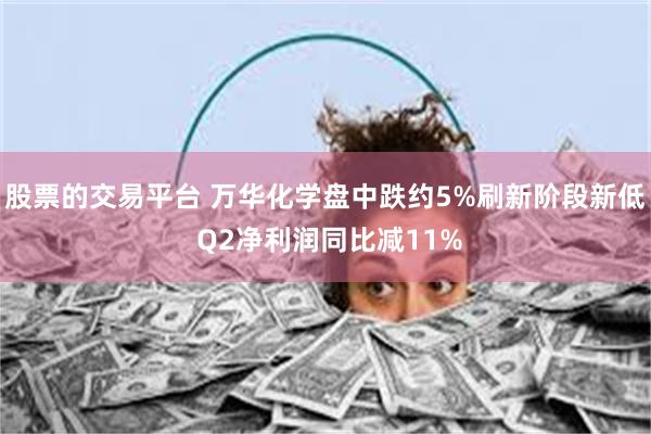 股票的交易平台 万华化学盘中跌约5%刷新阶段新低 Q2净利润同比减11%