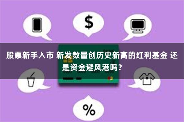 股票新手入市 新发数量创历史新高的红利基金 还是资金避风港吗？