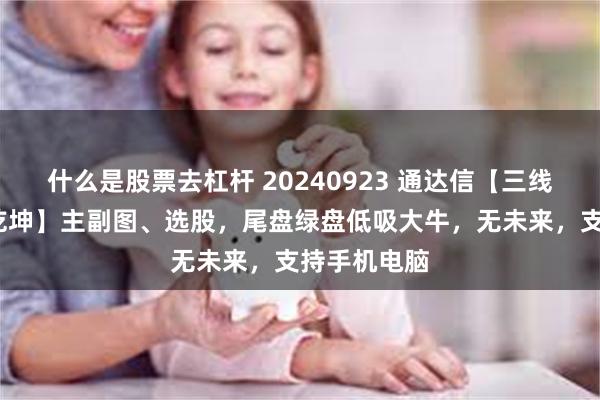 什么是股票去杠杆 20240923 通达信【三线定势-扭转乾坤】主副图、选股，尾盘绿盘低吸大牛，无未来，支持手机电脑