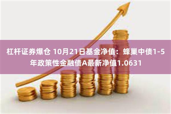 杠杆证券爆仓 10月21日基金净值：蜂巢中债1-5年政策性金融债A最新净值1.0631