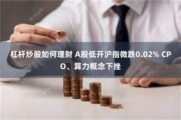 杠杆炒股如何理财 A股低开沪指微跌0.02% CPO、算力概念下挫