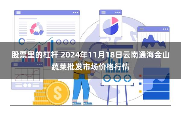 股票里的杠杆 2024年11月18日云南通海金山蔬菜批发市场价格行情