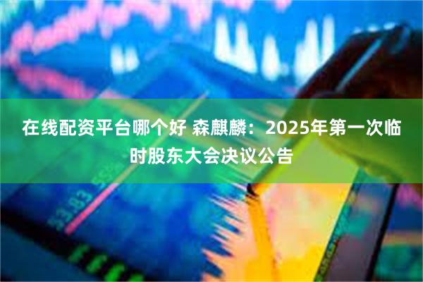 在线配资平台哪个好 森麒麟：2025年第一次临时股东大会决议公告