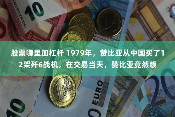 股票哪里加杠杆 1979年，赞比亚从中国买了12架歼6战机，在交易当天，赞比亚竟然赖